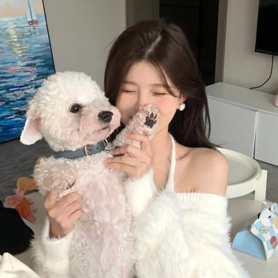 托托的色彩美学观